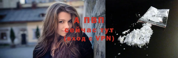 дживик Верхний Тагил