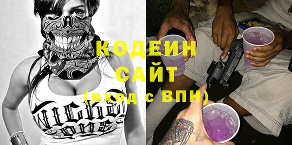 эйфоретик Няндома