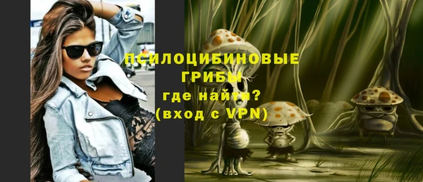 прущая мука Бородино