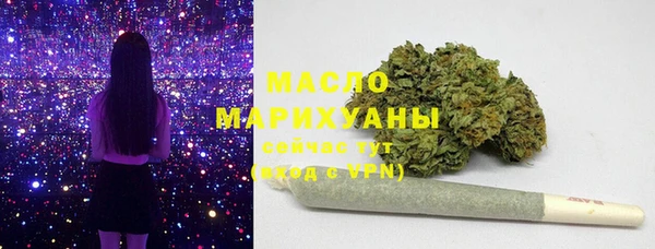 хмурый Верея