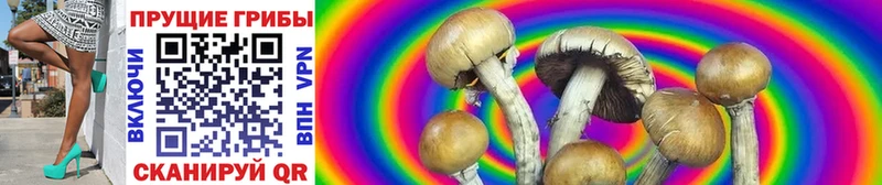 Псилоцибиновые грибы MAGIC MUSHROOMS  Семёнов 